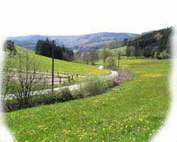 Blick von der Freiterasse ins Michelbronner Tal